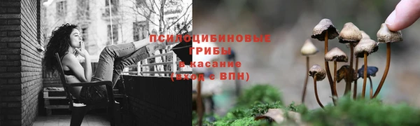 индика Михайловка