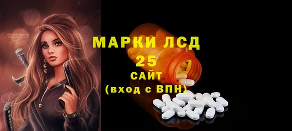 индика Михайловка