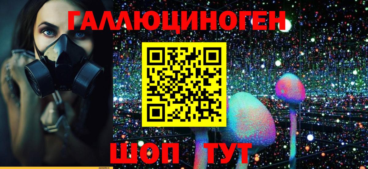 Псилоцибиновые грибы прущие грибы  Алейск 