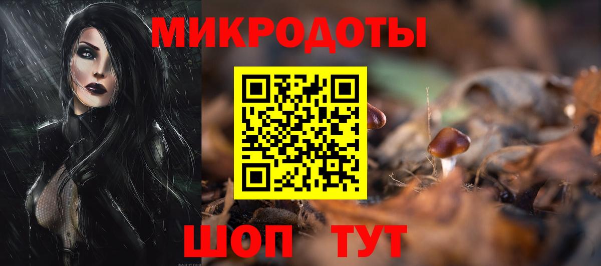 Галлюциногенные грибы Psilocybine cubensis  Вход с VPN  Алейск 